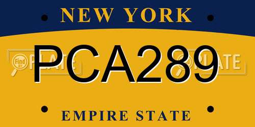 PCA289 New York License Plate