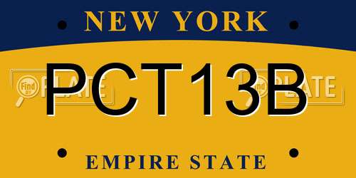 PCT13B New York License Plate