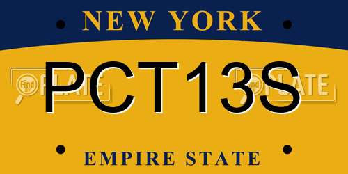 PCT13S New York License Plate