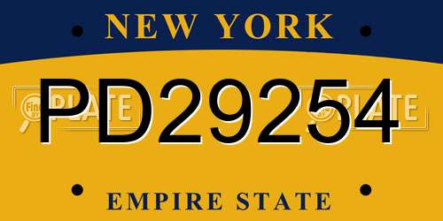 PD29254 New York License Plate