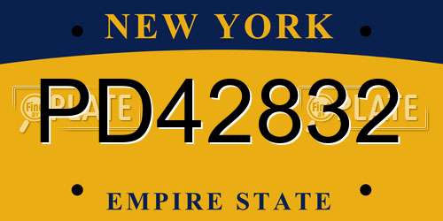 PD42832 New York License Plate