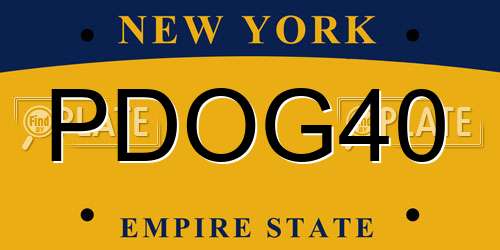 PDOG40 New York License Plate