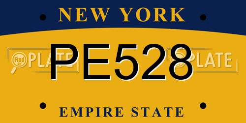 PE528 New York License Plate