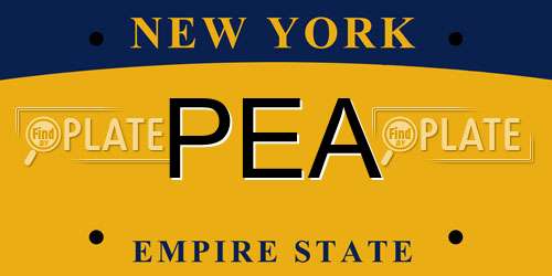 PEA New York License Plate