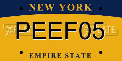 PEEF05 New York License Plate