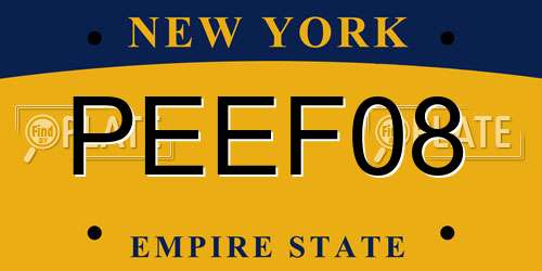 PEEF08 New York License Plate