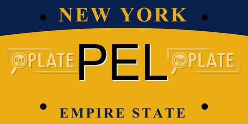 PEL New York License Plate