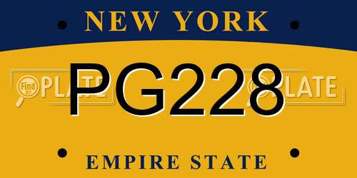 PG228 New York License Plate