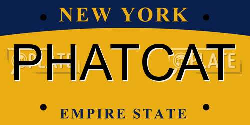 PHATCAT New York License Plate