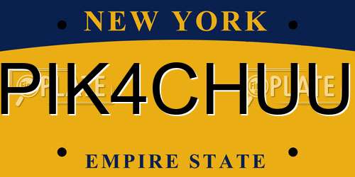 PIK4CHUU New York License Plate