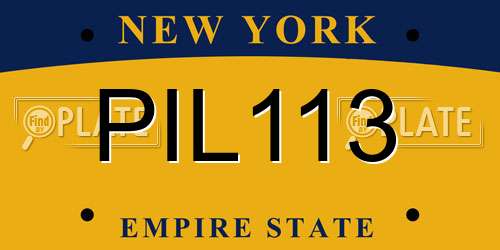 PIL113 New York License Plate