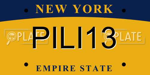 PILI13 New York License Plate