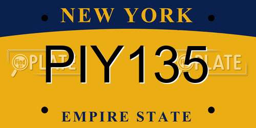PIY135 New York License Plate