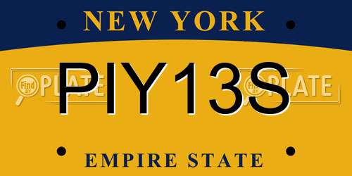 PIY13S New York License Plate