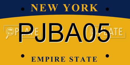 PJBA05 New York License Plate