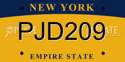 PJD209 New York License Plate