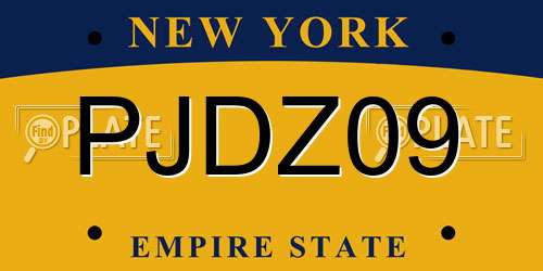 PJDZ09 New York License Plate