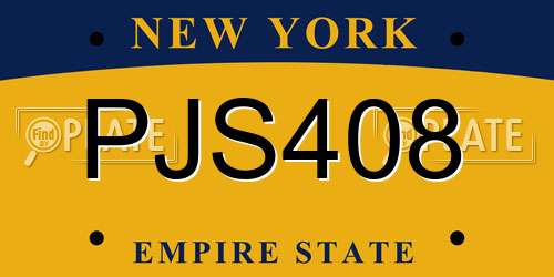 PJS408 New York License Plate
