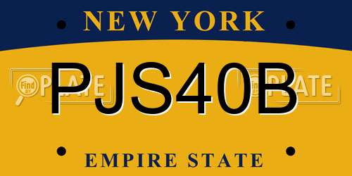 PJS40B New York License Plate