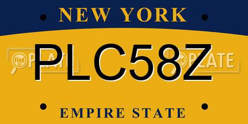 PLC58Z New York License Plate
