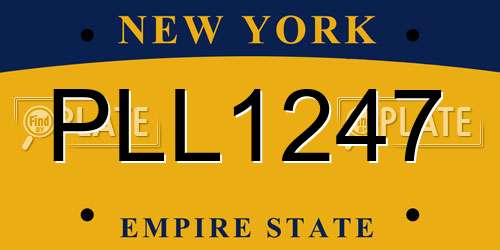 PLL1247 New York License Plate