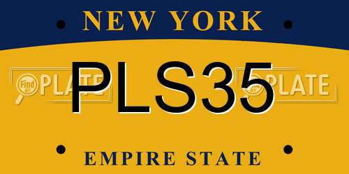 PLS35 New York License Plate