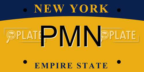 PMN New York License Plate