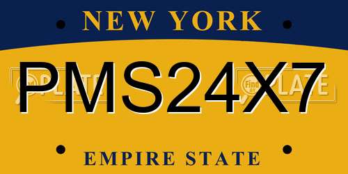 PMS24X7 New York License Plate