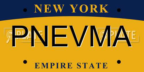 PNEVMA New York License Plate