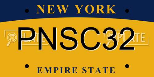 PNSC32 New York License Plate