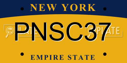 PNSC37 New York License Plate