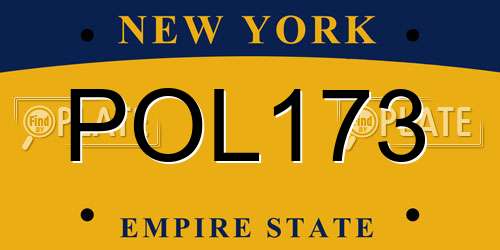POL173 New York License Plate