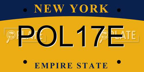 POL17E New York License Plate