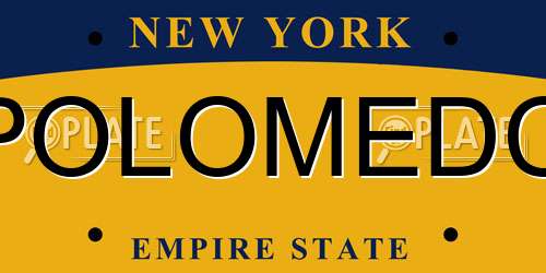 POLOMEDC New York License Plate