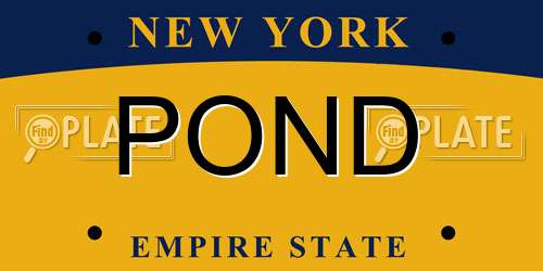 POND New York License Plate
