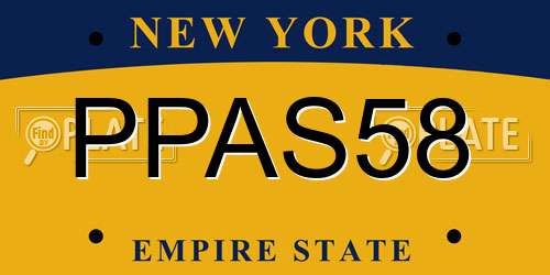 PPAS58 New York License Plate