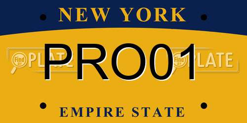 PRO01 New York License Plate