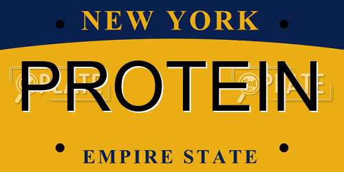PROTEIN New York License Plate