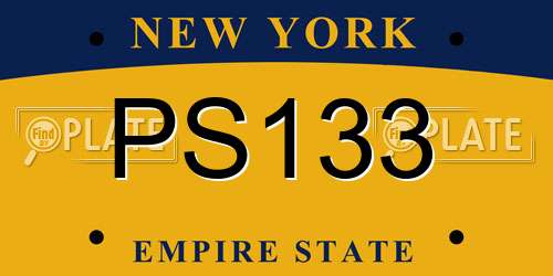 PS133 New York License Plate