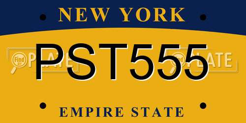 PST555 New York License Plate