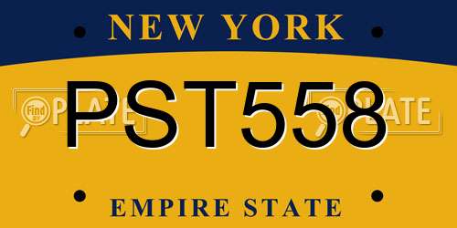 PST558 New York License Plate