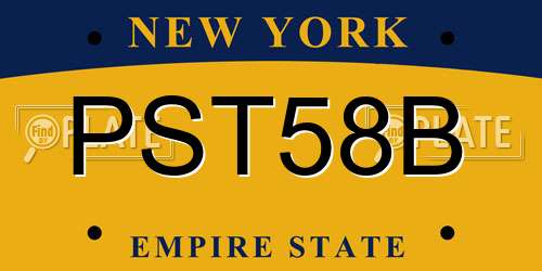 PST58B New York License Plate