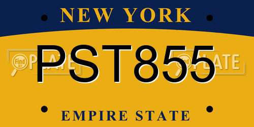 PST855 New York License Plate