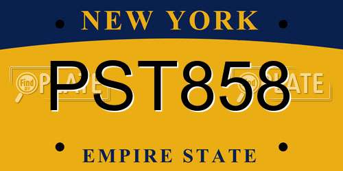 PST858 New York License Plate