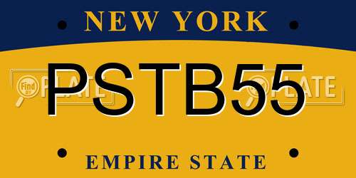 PSTB55 New York License Plate