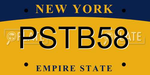 PSTB58 New York License Plate
