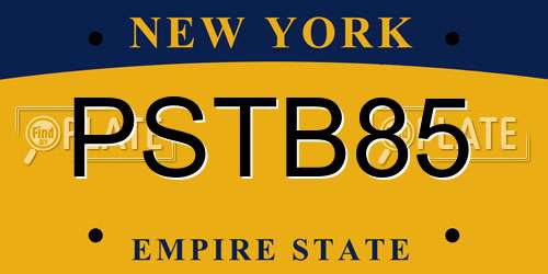 PSTB85 New York License Plate