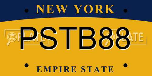 PSTB88 New York License Plate