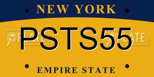 PSTS55 New York License Plate