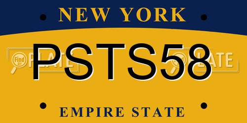 PSTS58 New York License Plate